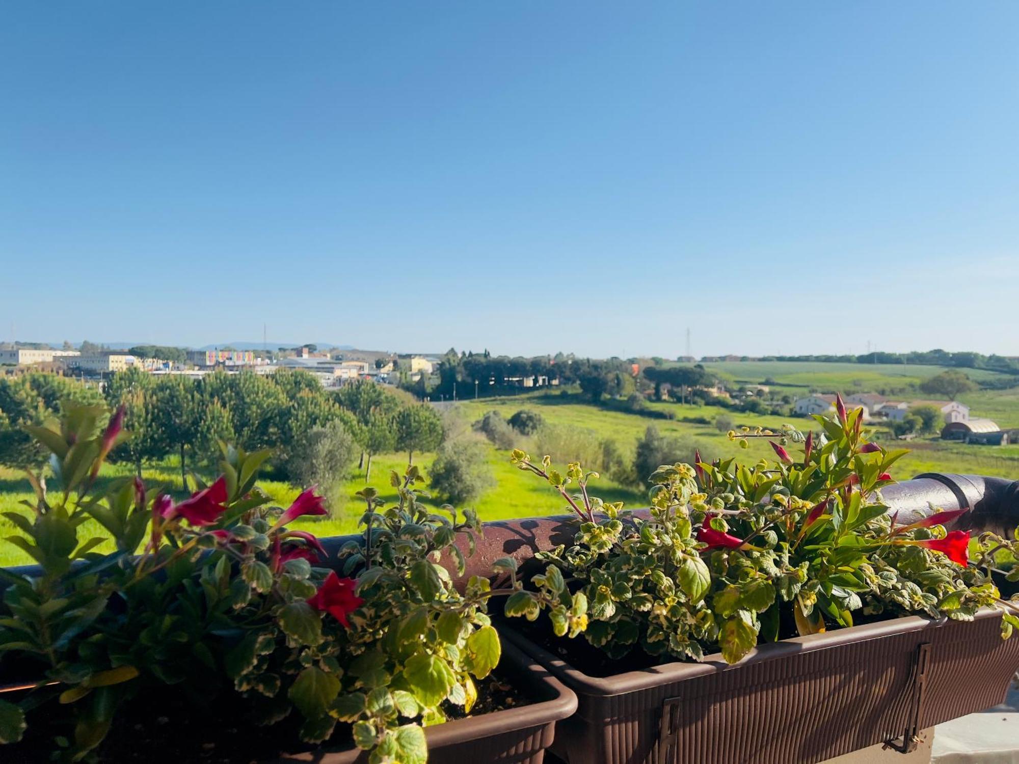 Villa Lavinia B&B Монтескудайо Екстер'єр фото
